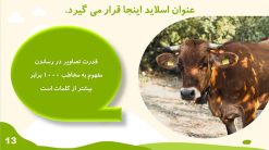 دانلود قالب و تم آماده پاورپوینت کشاورزی و گیاه شناسی - تصویر 4