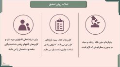 تم پاورپوینت حرفه ای مدل لوتوس - تصویر 11