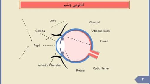 قالب پاورپوینت چشم پزشکی - تصویر 15