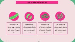 قالب پاورپوینت باکتری شناسی و میکروب شناسی - تصویر 7