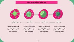 قالب پاورپوینت باکتری شناسی و میکروب شناسی - تصویر 16