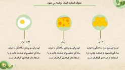 قالب پاورپوینت تغذیه و رژیم غذایی - تصویر 7