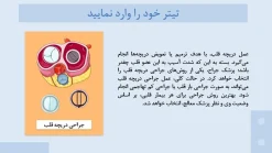 دانلود قالب پاورپوینت پزشکی قلب طرح آئورت - تصویر 13