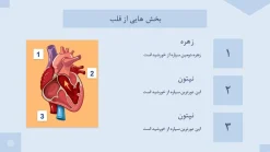 دانلود قالب پاورپوینت پزشکی قلب طرح آئورت - تصویر 8