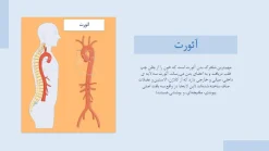 دانلود قالب پاورپوینت پزشکی قلب طرح آئورت - تصویر 26