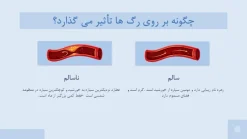 دانلود قالب پاورپوینت پزشکی قلب طرح آئورت - تصویر 25