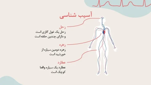 دانلود قالب پاورپوینت پزشکی قلب طرح کاردیو - تصویر 19