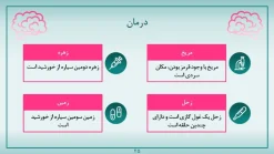 قالب پاورپوینت بیماری مغز - تصویر 20