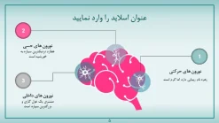 قالب پاورپوینت بیماری مغز - تصویر 5