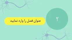 قالب پاورپوینت نورولوژی - تصویر 14