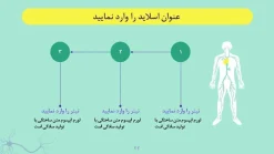 قالب پاورپوینت نورولوژی - تصویر 17