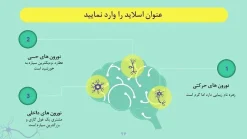 قالب پاورپوینت نورولوژی - تصویر 27