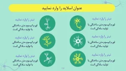 قالب پاورپوینت نورولوژی - تصویر 26
