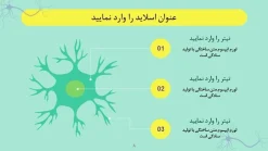 قالب پاورپوینت نورولوژی - تصویر 10